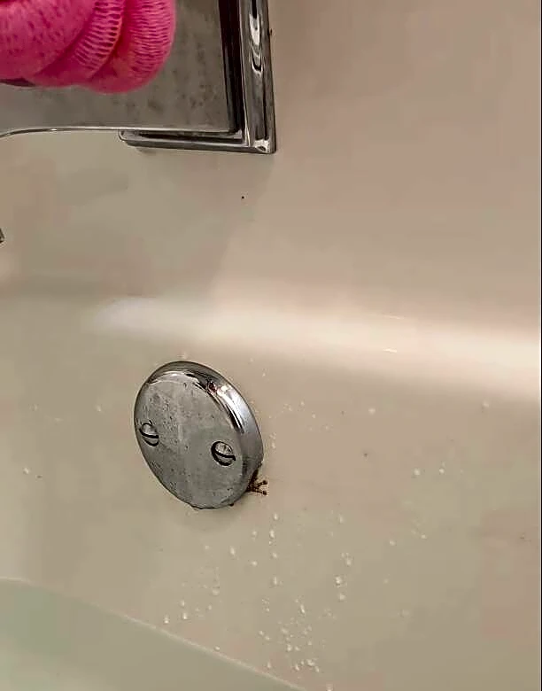 Man Grabs A Screwdriver After Tiny Hand Is Found Poking Out Of Bathtub Drain