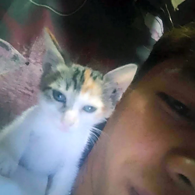 Cat Who Never Left Sick Mom’s Side Finds The Most Touching Way To Say Goodbye