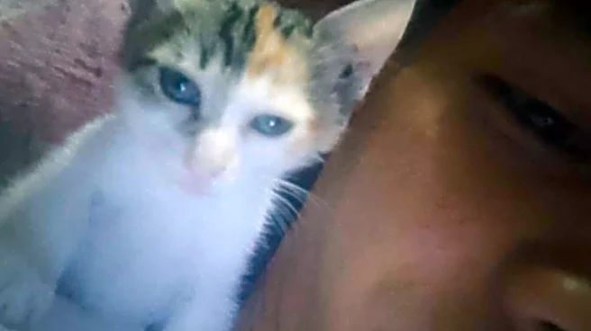 Cat Who Never Left Sick Mom’s Side Finds The Most Touching Way To Say Goodbye