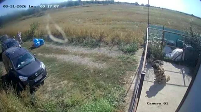 Rescuer Tears Open Cloth Bag And Finds A Scared 'Old Lady' Inside