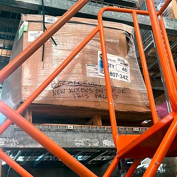 Home Depot Shopper Notices Box That Says ‘Be Careful’ — Then She Hears Crying