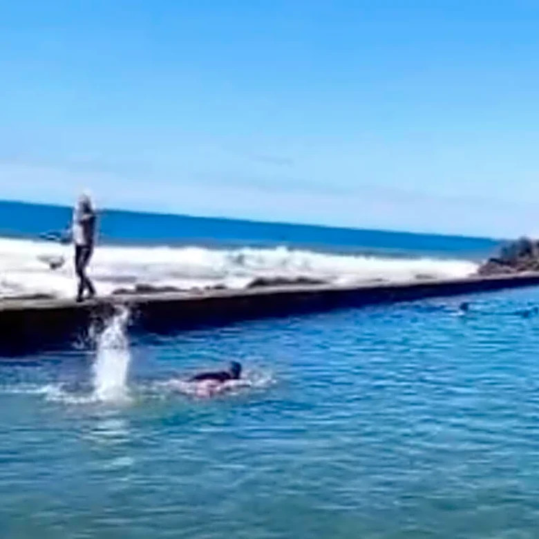 Teenager Leaps Into Tide Pool To Save 9 Fluffy Babies From Being Swept Out To Sea