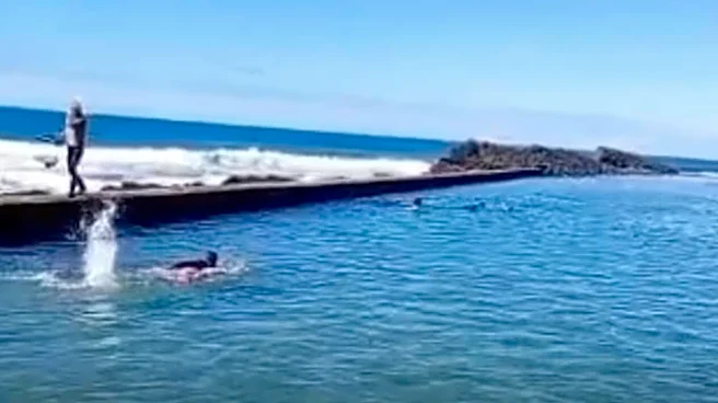 Teenager Leaps Into Tide Pool To Save 9 Fluffy Babies From Being Swept Out To Sea