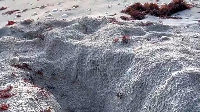 Photographer Drops Everything After Finding Tiny Baby Stuck In Sandy Ditch