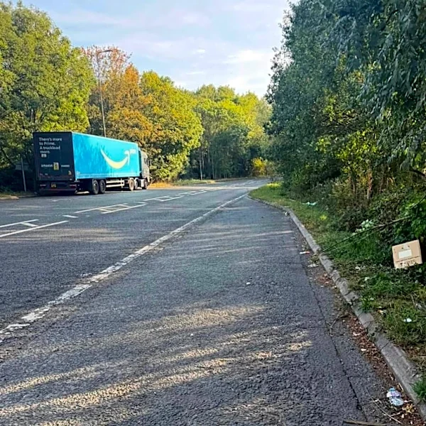 Truck Driver Hears 'Desperate Little Cries' And Finds Box Of Babies Beside The Road