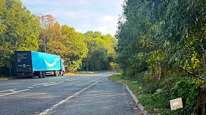 Truck Driver Hears 'Desperate Little Cries' And Finds Box Of Babies Beside The Road