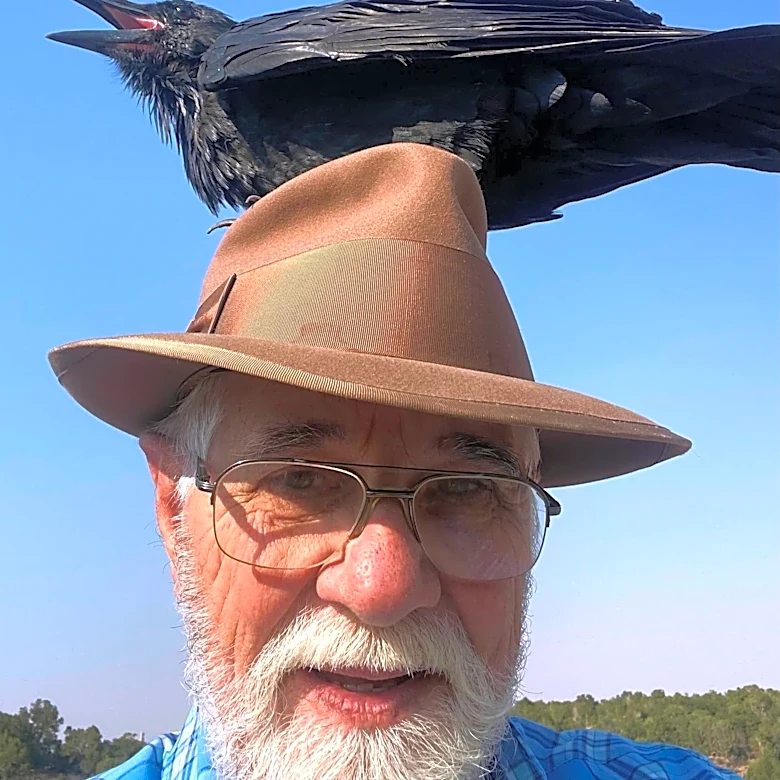 Man Had Grown Used To Being Alone. Then A Wild Raven Appeared.