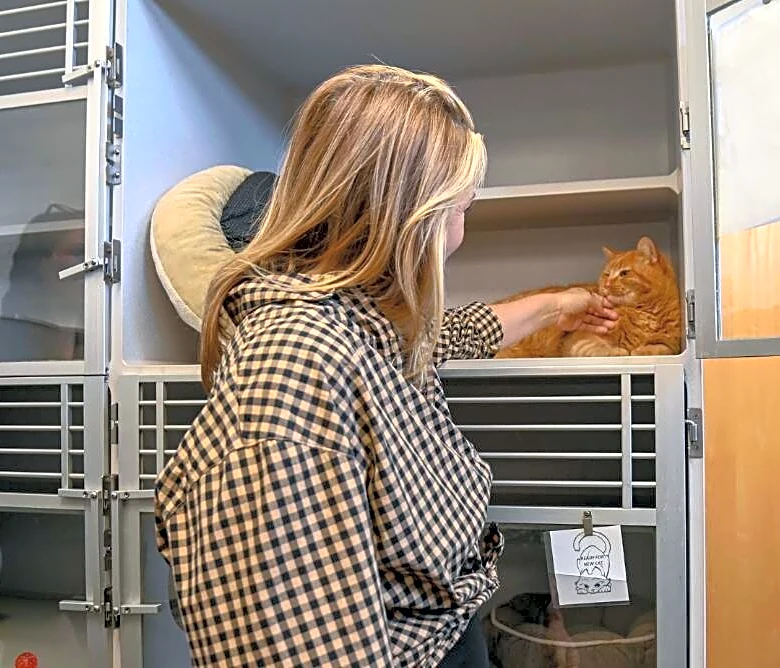 Alicia Silverstone Rescued A Pregnant Pup From Euthanasia. Now She Needs Your Help.