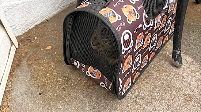 Pet Owner Facing Deportation Leaves A Heartbreaking Note To Whoever Finds Her Cat