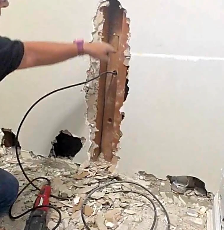 Man Pulls Cat Out Of Wall In 'Miraculous' Rescue After Weeks Of Looking For Her