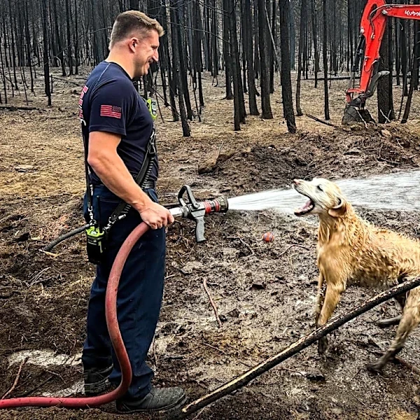 Firefighters Respond To A Call And End Up Giving A Dog The Best Day Ever