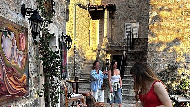 Travelers Spot A Cat Beside A Strange Sign And Decide To Follow Her