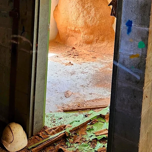 Pest Control Worker Walks Into An Office And Finds A 10-Foot-Tall Termite Mound