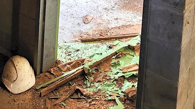 Pest Control Worker Walks Into An Office And Finds A 10-Foot-Tall Termite Mound