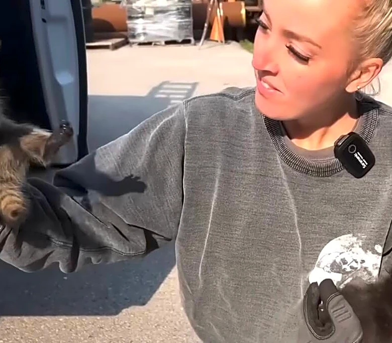 Rescuers Find Terrified Raccoon In Garage — And Realize She's Hiding 4 Surprises