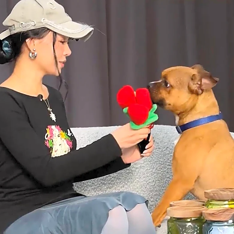 Bella Poarch Opens Up About Her Cats While Meeting An Energetic Rescue Pup