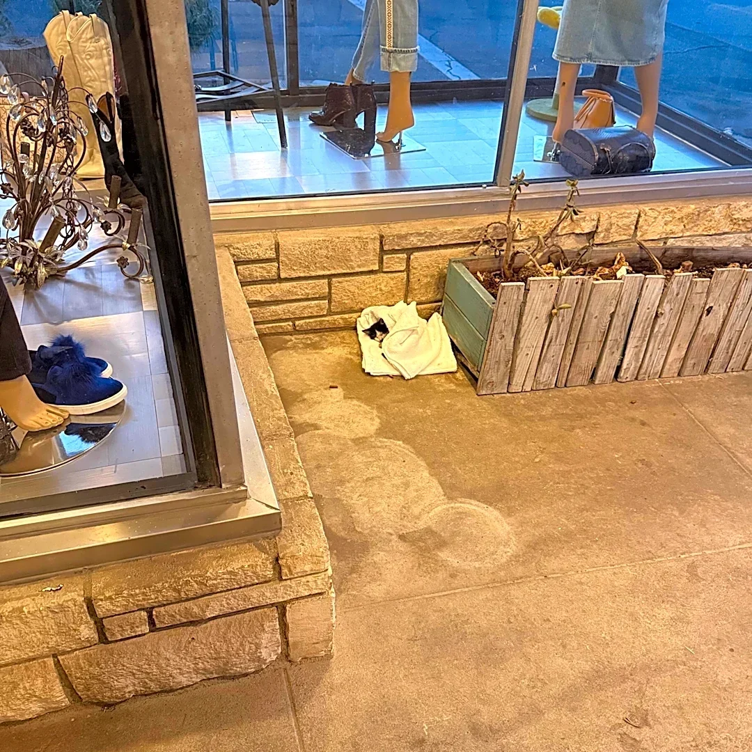 Cafe Owner Shows Up To Find A Tiny Baby Wrapped In A Towel On Shop's Doorstep
