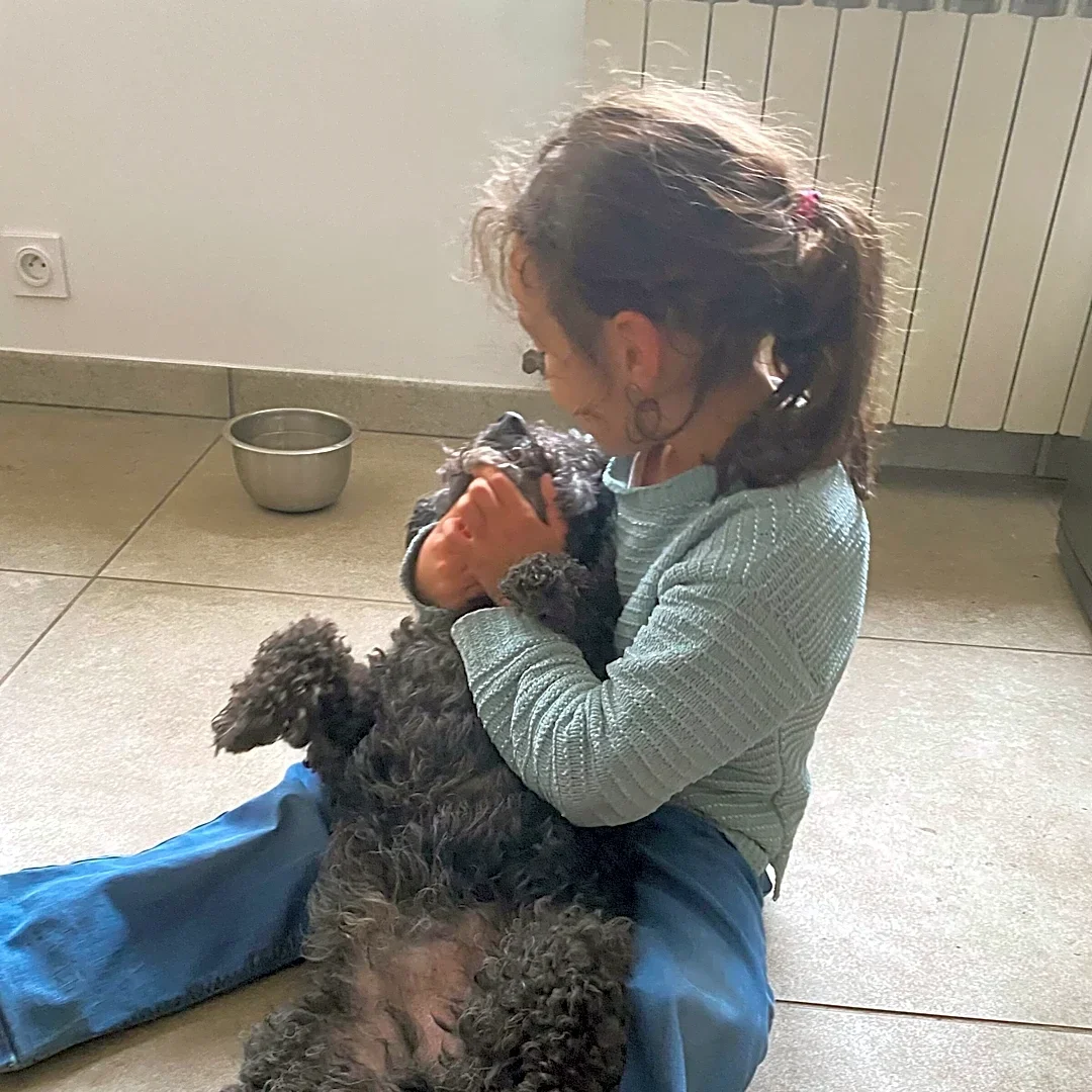 Nobody Thought This Dog Would Survive After X-Ray Reveals What He's Been Secretly Eating