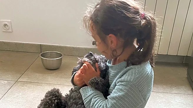 Nobody Thought This Dog Would Survive After X-Ray Reveals What He's Been Secretly Eating
