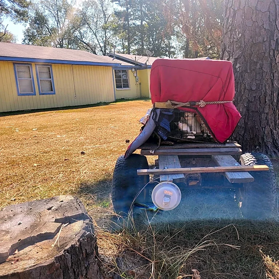 Homeowner Finds Trailer Abandoned In Her Yard And Realizes It's Hiding Babies