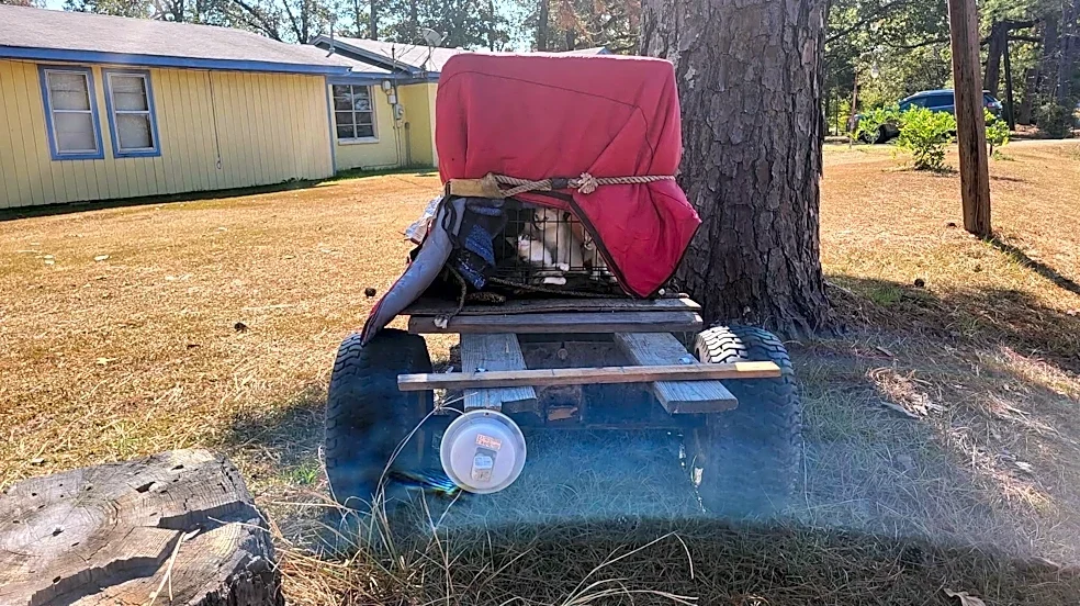 Homeowner Finds Trailer Abandoned In Her Yard And Realizes It's Hiding Babies