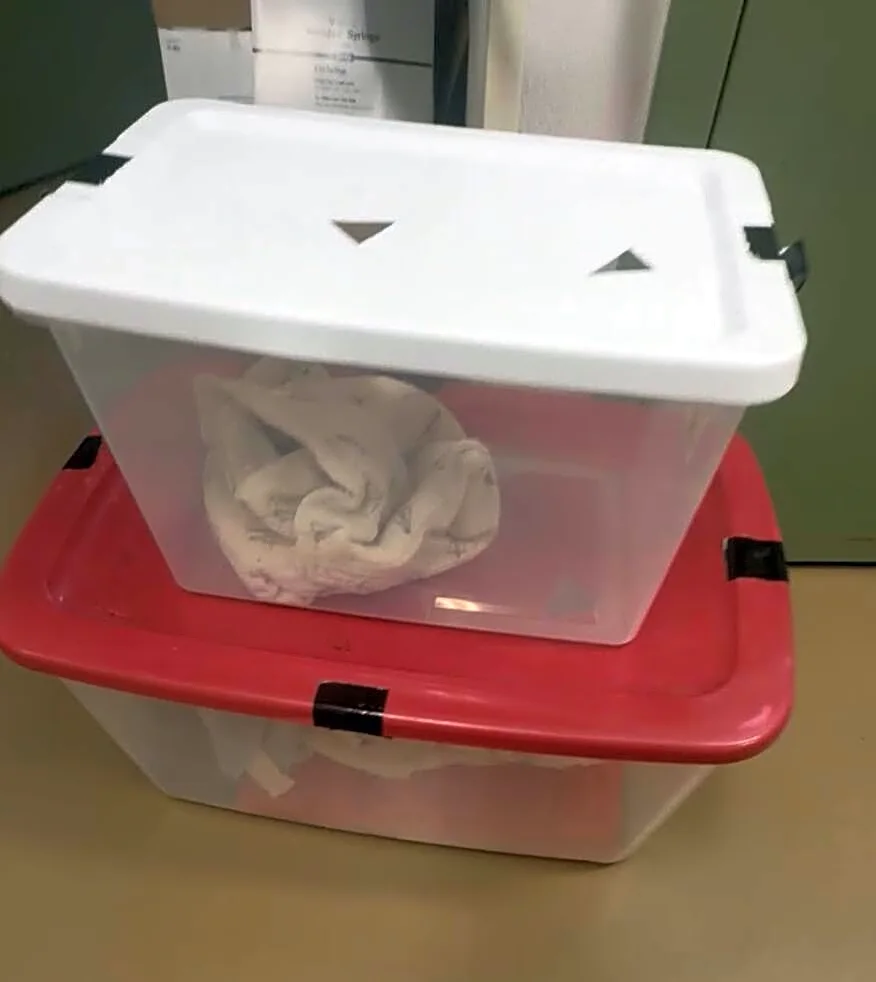 Vet Opens Plastic Bin And Finds Family 'Panting Heavily' In 80-Degree Heat
