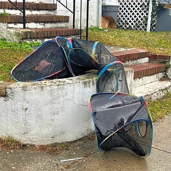 Officers Get A Call About Mesh Tunnel In Yard And Find 4 'Soaking Wet' Babies Inside