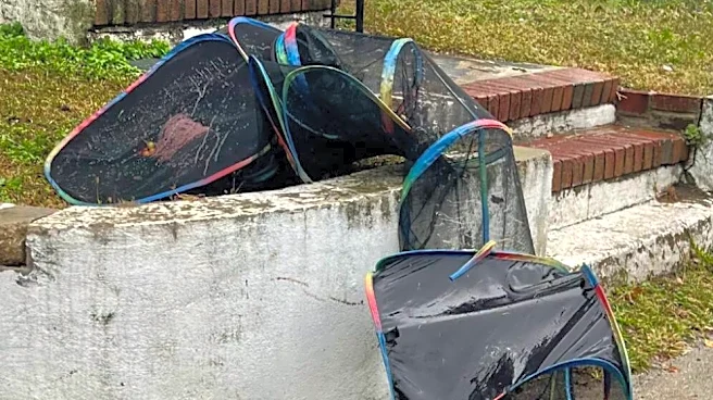 Officers Get A Call About Mesh Tunnel In Yard And Find 4 'Soaking Wet' Babies Inside