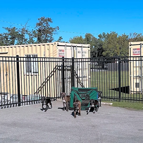 Thrift Store Employees Arrive At Work To Find 5 Babies Abandoned In The Parking Lot