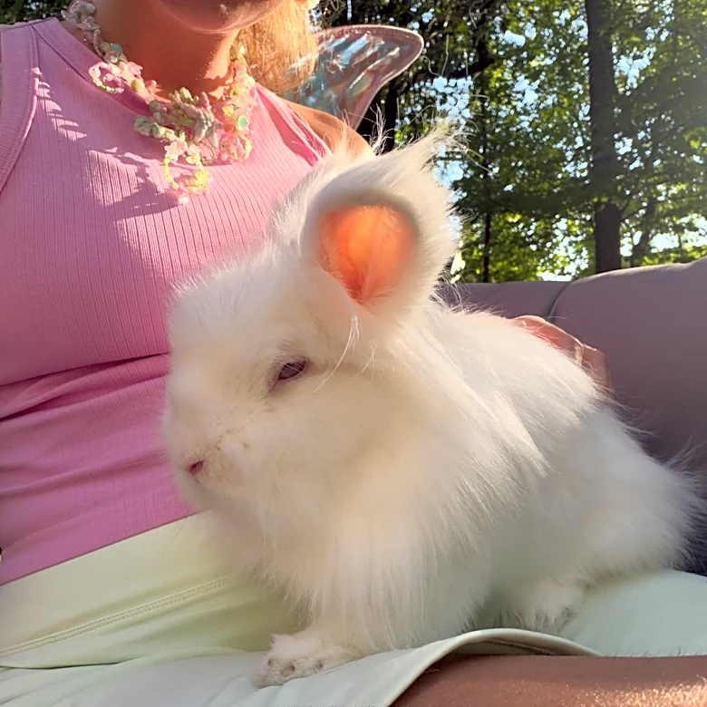 Shelter Rabbit Celebrates Birthday With A Magical Surprise From His New Family