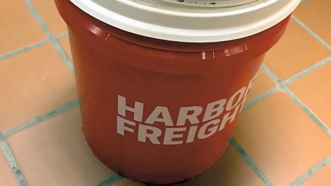 Shelter Staff Open Bucket Left In Lobby And Find Someone Dangerous Waiting Inside