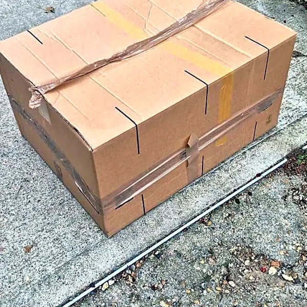 Employee Picks Up An Amazon Delivery And Finds A Family Of Black Cats Inside
