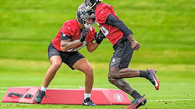 Former Falcons CB signs with rival Carolina Panthers