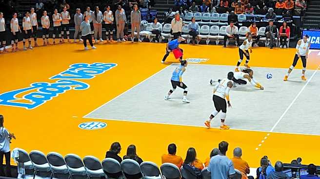 April Chapple, Tennessee volleyball player, All-American in 1984, dies at 62