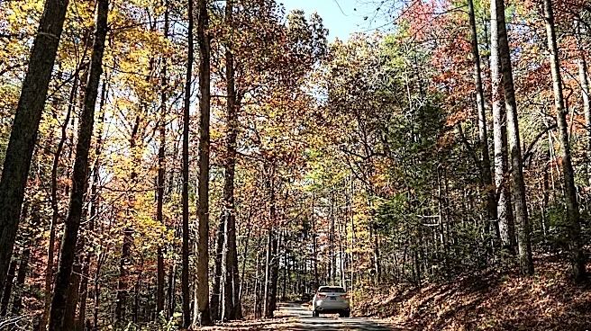 When to plan a trip to see best fall colors in Great Smoky Mountains