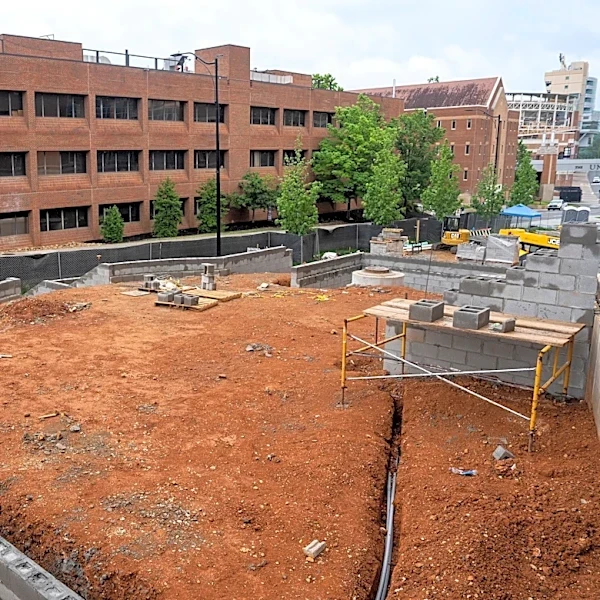 From 1 to G10, here's how University of Tennessee looks different this fall