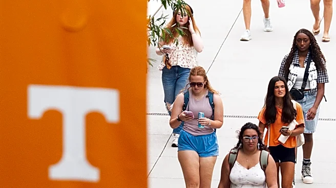 University of Tennessee students offer great advice: '8 am classes - big no'