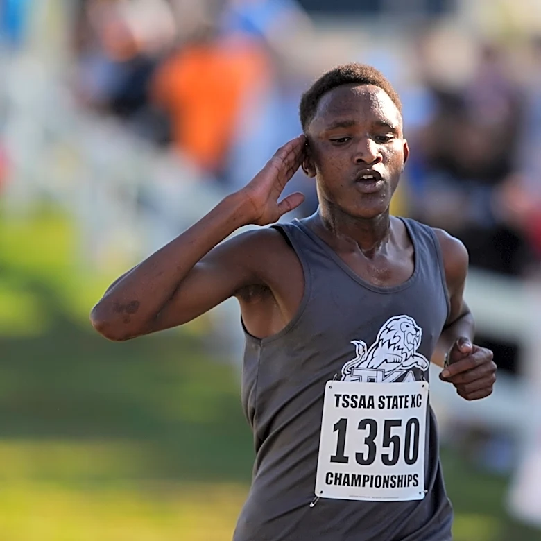 Who are Knoxville area's top TSSAA cross-country runners for 2026 season?