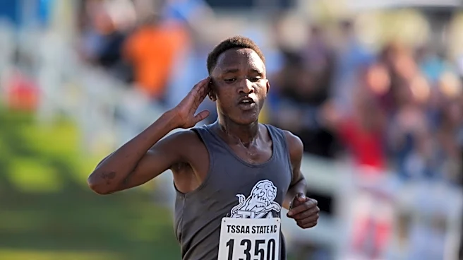 Who are Knoxville area's top TSSAA cross-country runners for 2026 season?