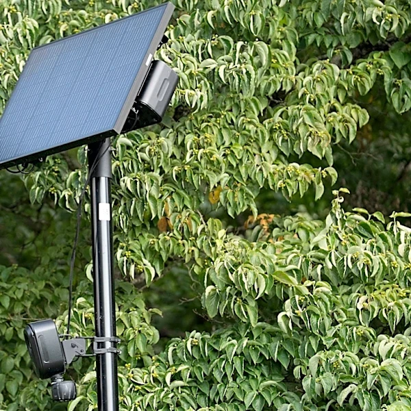 Knox County voters oppose Flock cameras, and it crosses party lines, poll finds