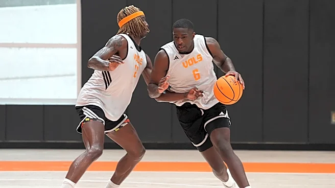Three underrated Tennessee basketball newcomers who will make an impact