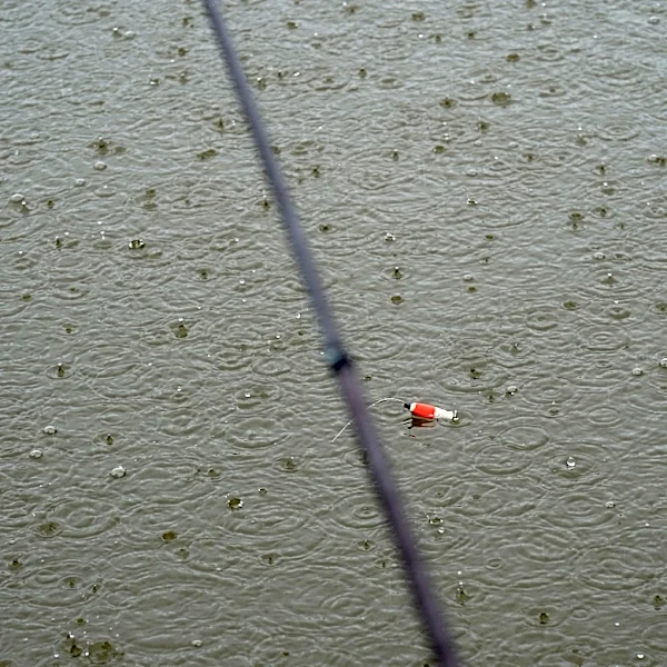 Beware of enticing waters that appear out of nowhere | Sam Venable