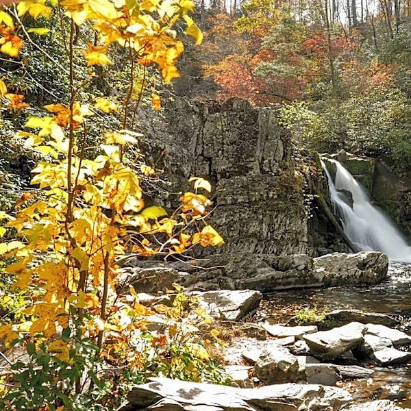 Popular waterfall trail in Great Smoky Mountains to close for a month