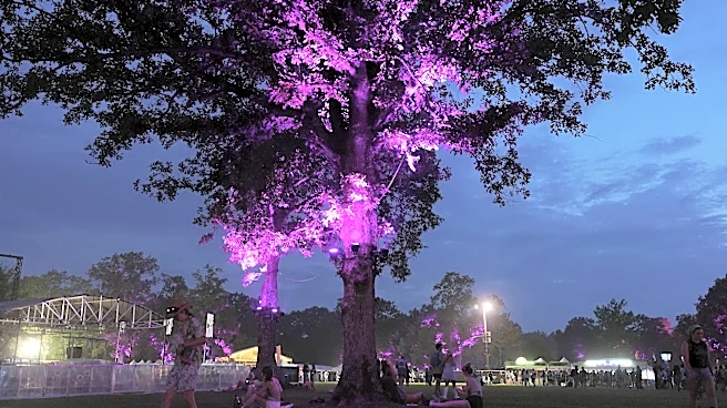 Bonnaroo 2027 is canceled as music festival takes a year off