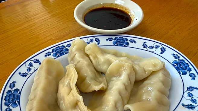 From dumplings to curry, Zhu Garden leaves good impression | Grub Scout