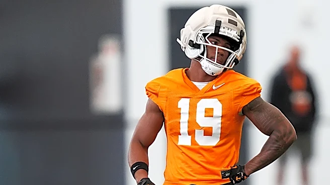 What Jim Knowles wants from Tennessee football defense vs Furman. It's a lot