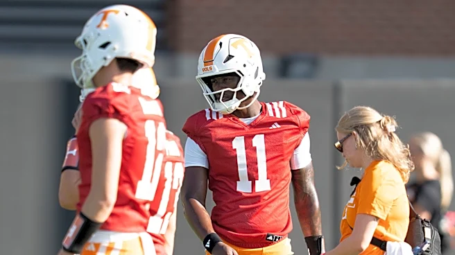 Why ESPN analyst put Tennessee football on upset alert vs Furman. Here's why