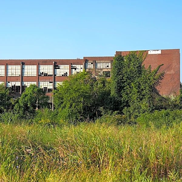 Standard Knitting Mill back to square one after developer drops out | Exclusive