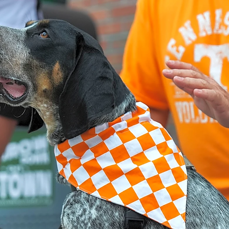 Smokey XII makes national TV debut on 'Today' as a 'promising new recruit'
