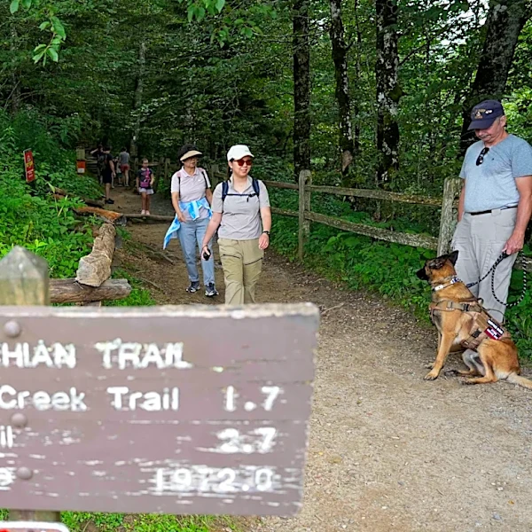 Where can you hike with dogs in Great Smoky Mountains National Park?